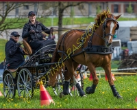 1POSIEUX 0425